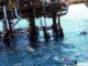 Asaltan plataformas petroleras de Pemex; reportan heridos