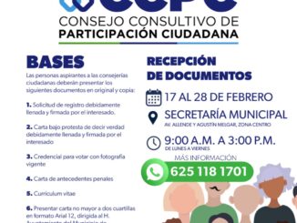 Consejo consultivo de participación ciudadana