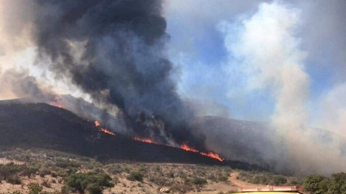 Trabajan 450 combatientes para controlar incendios forestales en ocho municipios