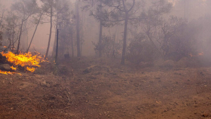 combaten-164-brigadistas-11-incendios-forestales-activos-en-la-entidad.jpeg Combaten 164 brigadistas 11 incendios forestales activos en la entidad