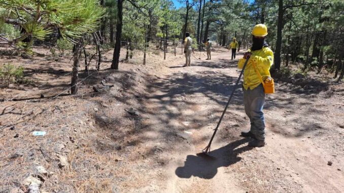 incrementa-numero-de-combatientes-para-atender-incendios-forestales-activos-en-el-estado.jpeg Incrementa número de combatientes para atender incendios forestales activos en el estado