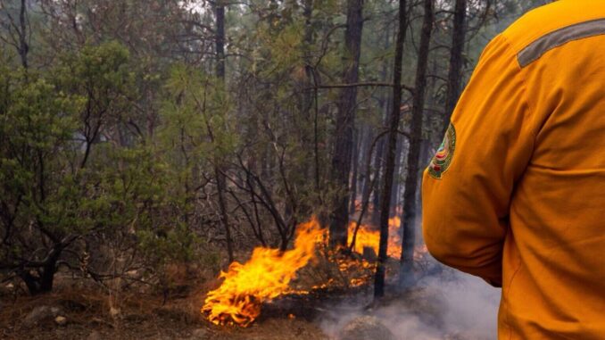 permanecen-activos-7-incendios-forestales-en-la-entidad.jpeg Permanecen activos 7 incendios forestales en la entidad