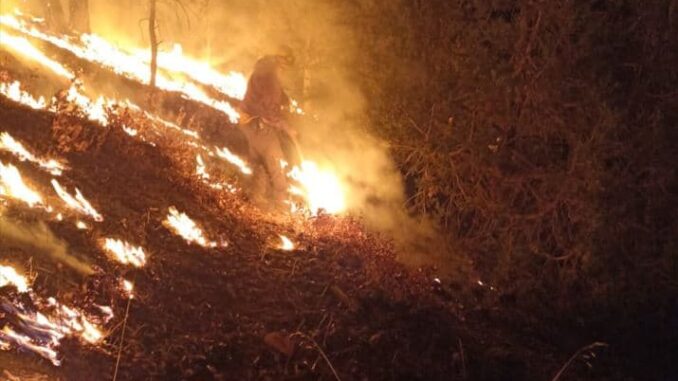 brigadistas-han-apagado-388-incendios-en-lo-que-va-del-ano.jpeg Brigadistas han apagado 388 incendios en lo que va del año