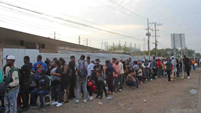 las-aprehensiones-de-centroamericanos-en-eeuu-y-mexico-caen-mas-del-86-en-2025-segun-oim-696x392.jpg