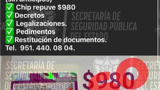 WhatsApp-Image-2025-10-06-at-4.46.18-PM-e1759791163807.jpeg